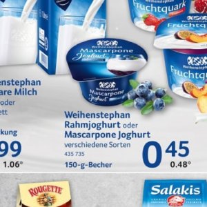 Joghurt bei Selgros