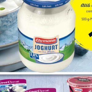 Joghurt bei Citti Markt