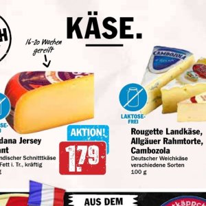 Käse bei Hit