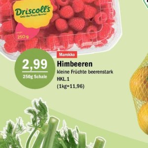 Himbeeren bei Aktiv Irma