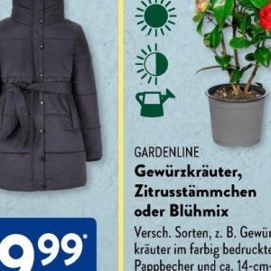 Gartengarnituren bei Aldi SÜD