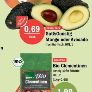 Avocado bei Aktiv Irma