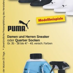 Socken puma  bei Famila Nord West