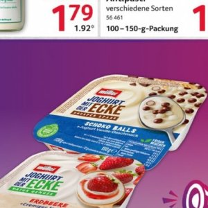 Joghurt bei Selgros