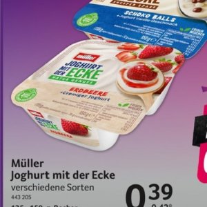 Joghurt bei Selgros