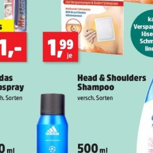 Shampoo bei Thomas Philipps