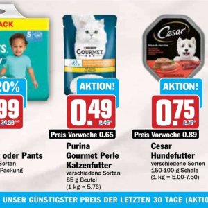 Katzenfutter purina  bei Hit