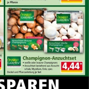 Champignons bei Norma