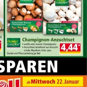 Champignons bei Norma