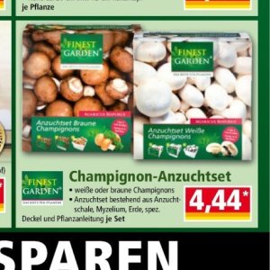 Champignons bei Norma