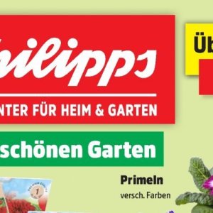 Garten bei Thomas Philipps