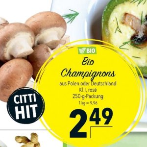 Champignons bei Citti Markt