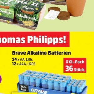 Batterien bei Thomas Philipps