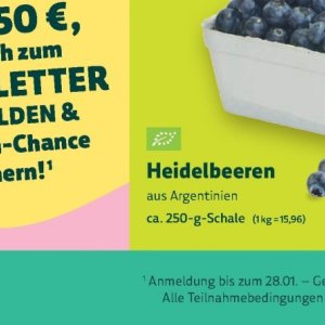 Heidelbeeren bei BioMarkt