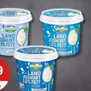 Joghurt bei V-Markt