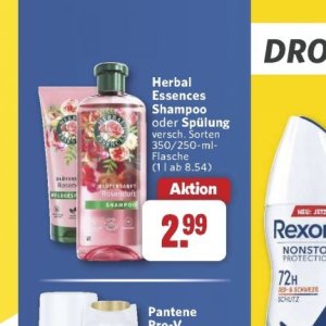 Shampoo bei Combi