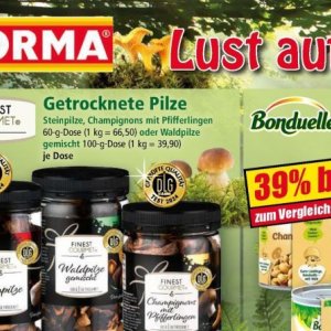 Pilze bei Norma