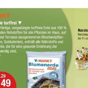 Pflanzen bei V-Markt