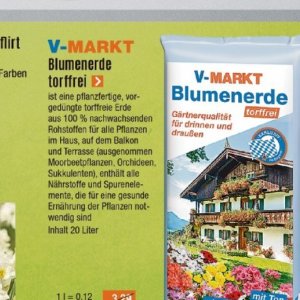 Pflanzen bei V-Baumarkt