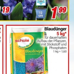 Pflanzen bei Centershop