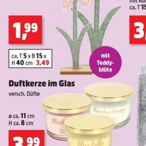 Glas bei Thomas Philipps