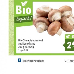 Champignons bei Citti Markt