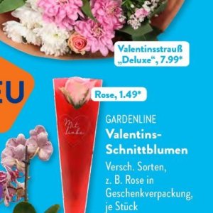 Gartengarnituren bei Aldi SÜD