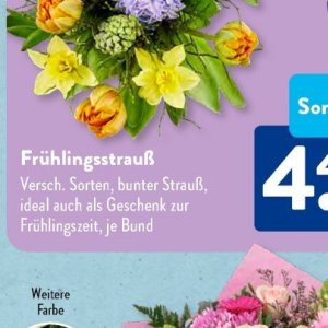 Strauß bei Aldi SÜD