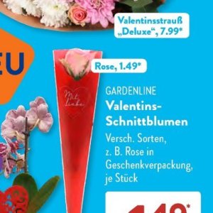 Schnittblumen bei Aldi SÜD