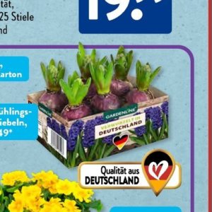 Gartengarnituren bei Aldi SÜD