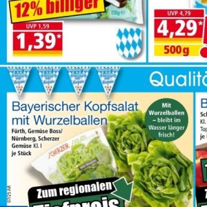 Kopfsalat bei Norma