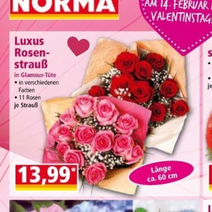 Strauß bei Norma