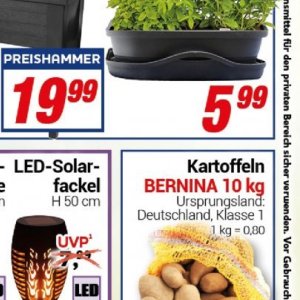 Kartoffeln bei Centershop