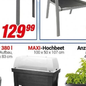 Hochbeet bei Centershop