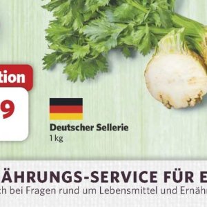 Sellerie bei Combi