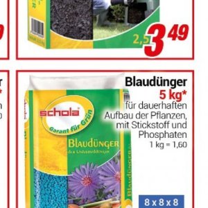 Pflanzen bei Centershop