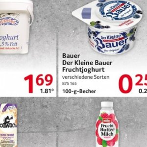 Joghurt bei Selgros