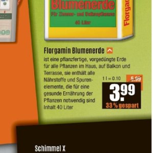 Pflanzen bei V-Baumarkt