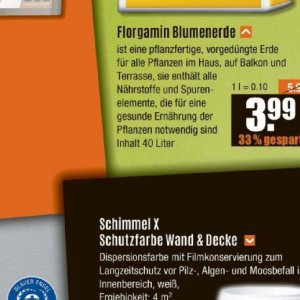 Pflanzen bei V-Baumarkt