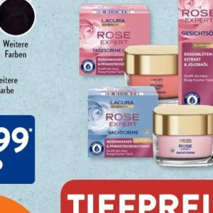 Rose bei Aldi SÜD