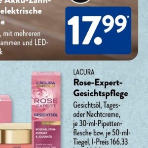 Rose bei Aldi SÜD