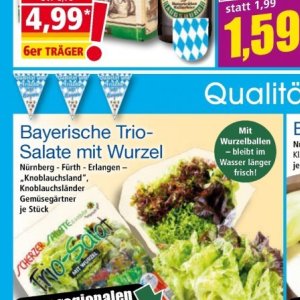 Salate bei Norma