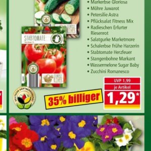 Zucchini bei Norma