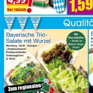 Salate bei Norma