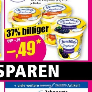 Joghurt bei Norma