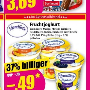 Joghurt bei Norma