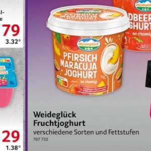 Joghurt danone  bei Selgros