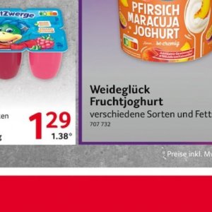 Joghurt bei Selgros