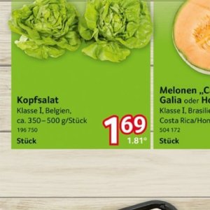 Kopfsalat bei Selgros