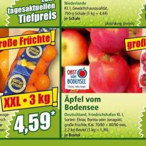 Äpfel bei Norma